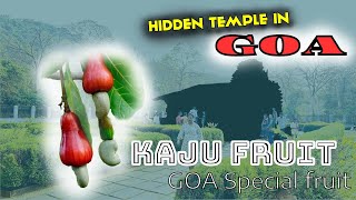 GOA | Hidden temple in GOA | Kaju Fruit | Goa special Fruit