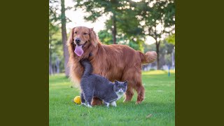 Harmonious Echoes Soothe Animal Spirits
