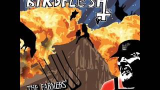 Birdflesh - Gorilla Behaviour