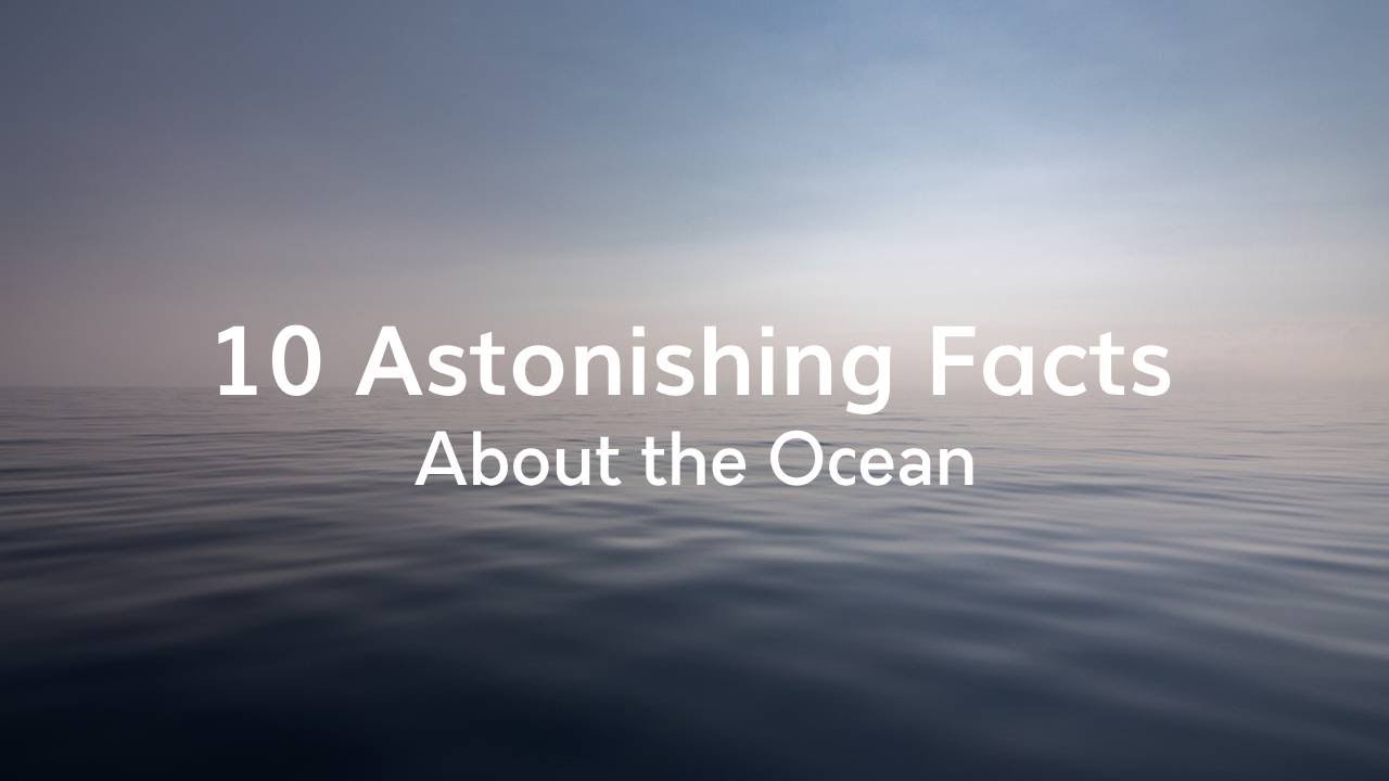 Deep Dive : 10 astonishing facts about the ocean - YouTube