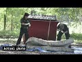 Middle of video