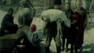 Documentary "Road home" about some social problems in Russia. Документальный фильм "Дорога домой". Documentary "Road home" about some social problems in Russia. Документальный фильм "Дорога домой".