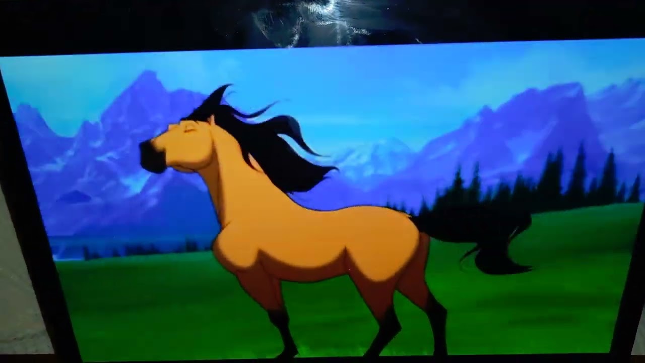 Apertura Dvd Spirit Cavallo Selvaggio