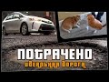 ПОТРАЧЕНО. Идеальная дорога. Лучшие приколы 2020 за неделю, смешные видео