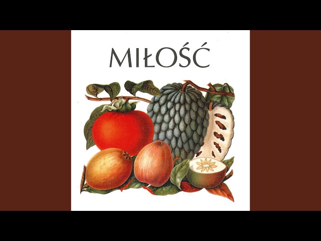 Miłość - Dr King