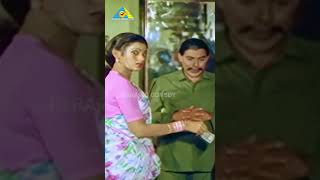 #PonmanaChelvan #vijayakanth #shobana #vidhyashree #ilaiyaraaja #pvasu #pyramidcomedyclips