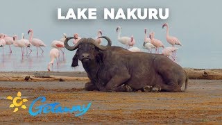 Lake Nakuru | Getaway 2019