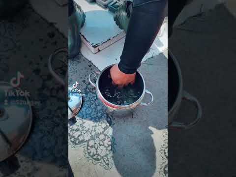 Video: Rapana Necə Bişirilir