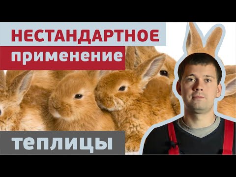 Видео: Оранжерии и парници, произведени от Тепличкин