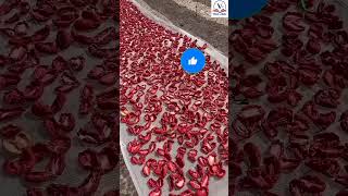 it is an amazing idea #education #tomato #waste #salt #summer #farming #ideas #amazing #great