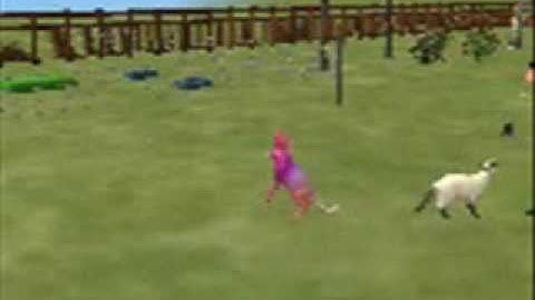 Sims 2 Pets Glitches (Sorry for Low Quality)