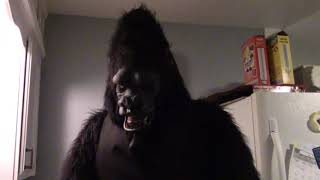 Thor Gorillas Last Name