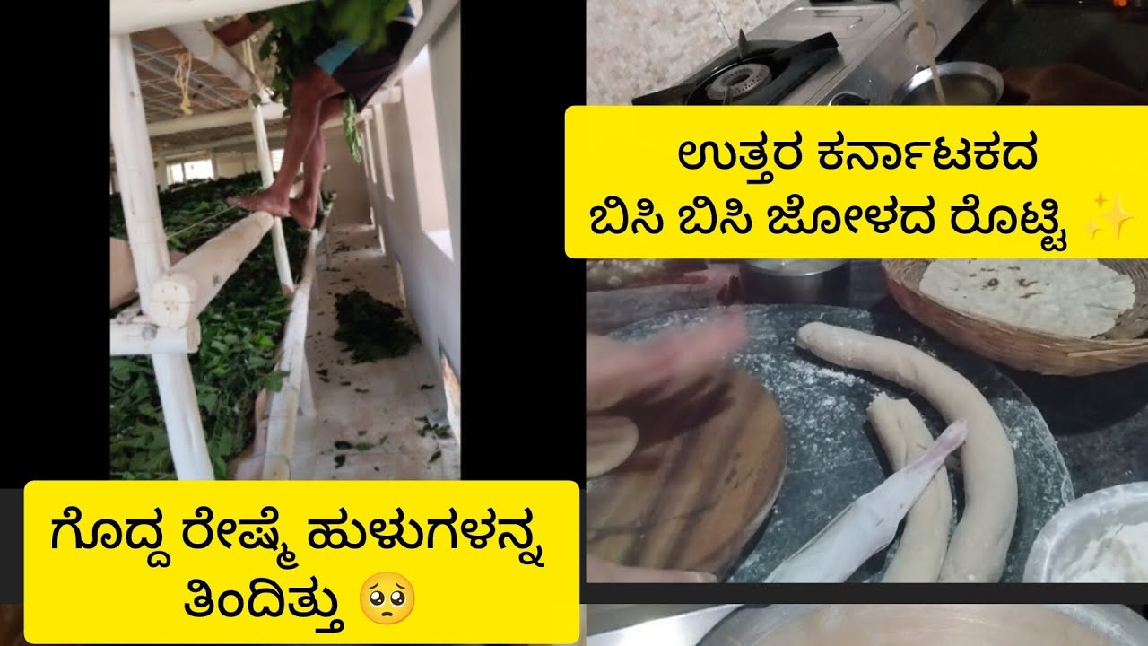 Day-3 ಬೆಳಿಗ್ಗೆ ಬೆಳಿಗ್ಗೆ ಮನಸ್ಸಿಗೆ ಬೇಜಾರಾಯಿತು 🥺ನುಗ್ಗೆಕಾಯಿ ಸಾಂಬರ್ ಸೂಪರ್ ಆಗಿ ಬಂದಿತ್ತು 😁🥰