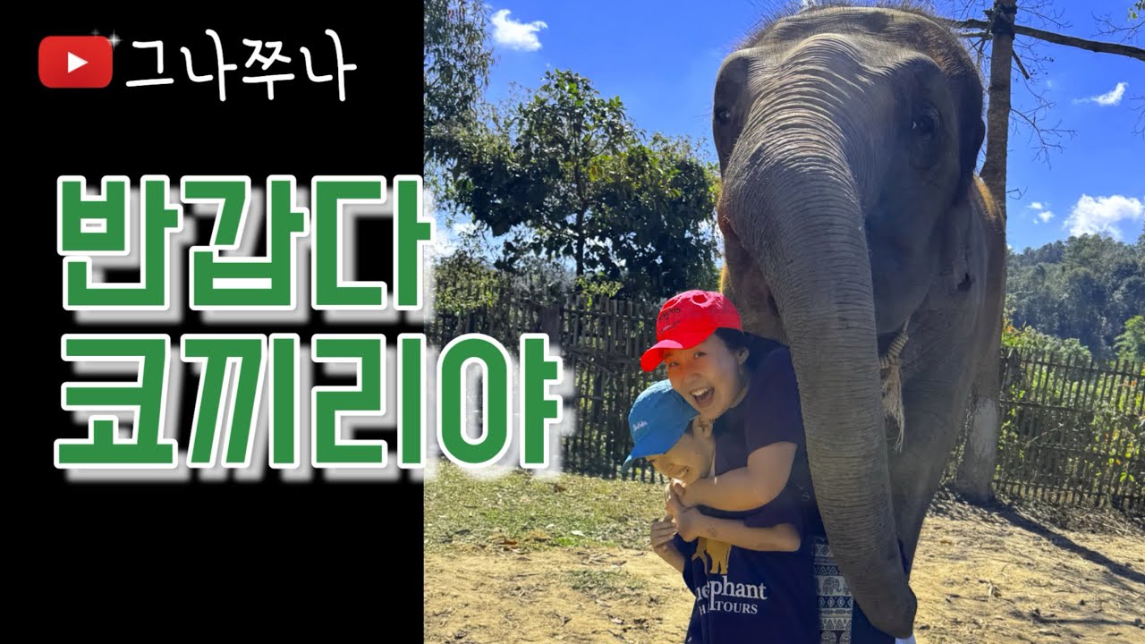 치앙마이 특별한 코끼리 체험, 윤리적체험, 노터치