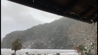 Hare No Nanten晴れの南天Day 4 Its Snowing
