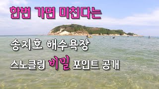 나만 알고싶은 국내 스노클링 끝판왕 비밀 포인트 공개 (장호항 X, 갈남항 X, 제주도 X)