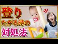 【教育】子供はなぜ高い所に登るのか?実は○○が原因?!【ベビーパーク公式】No.72