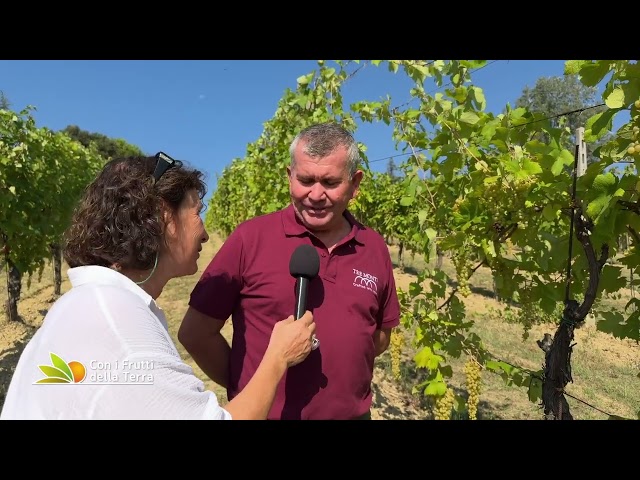 È GIA TEMPO DI VENDEMMIA SUI COLLI DI IMOLA? -  Puntata del 09-08-2026