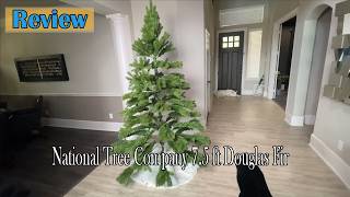 National Tree Company 7.5 ft Douglas Fir Review | 3 Mistakes You MUST AVOID With This Tree! National Tree Company 7.5 ft Douglas Fir Review | 3 Mistakes You MUST AVOID With This Tree!