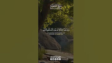 سورة الممتحنة كاملة ( أستمع واقرأ ) من أروع التلاوات القارئ عبدالعال عمر💖Surat AlMumtahanah