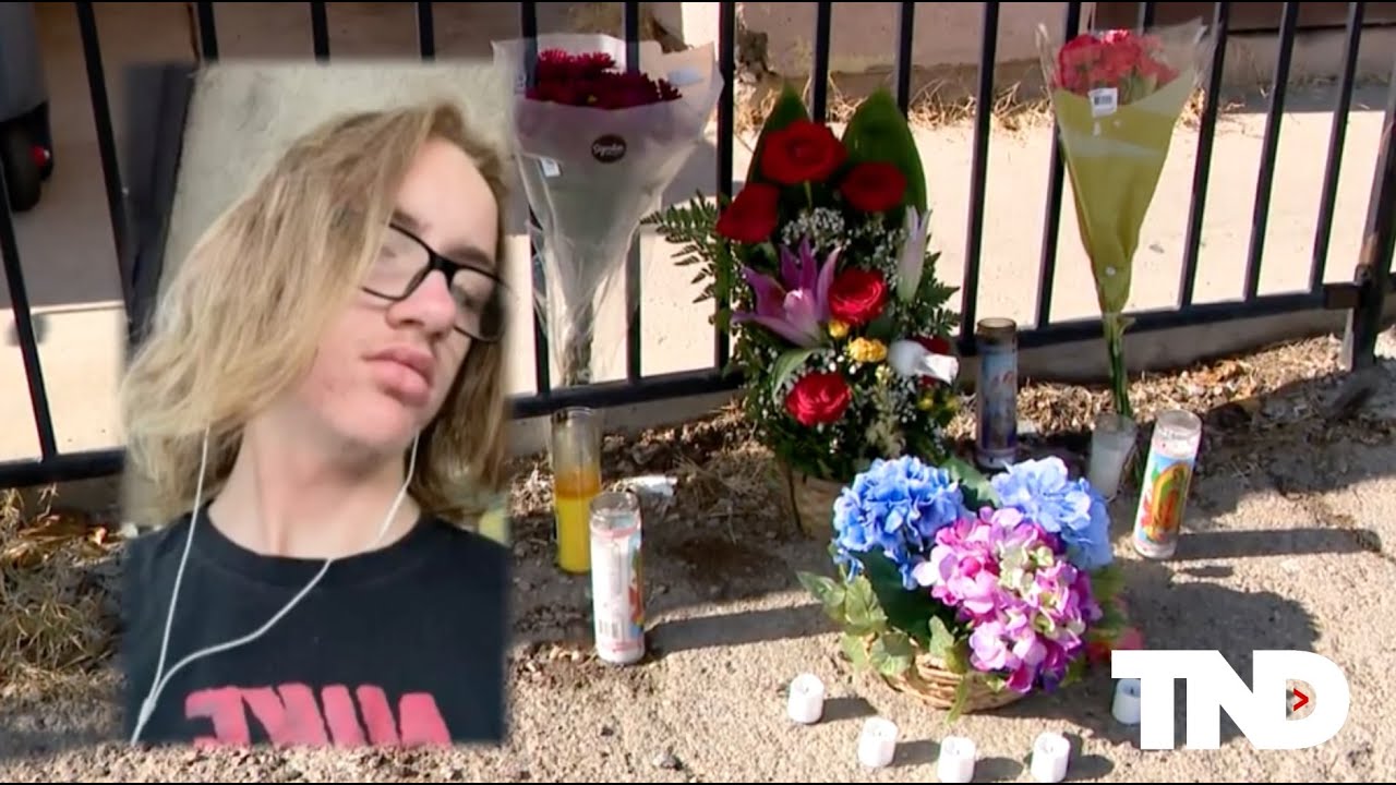 Teens charged in Las Vegas student's beating death appear in court; 4 ...