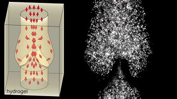 How to make functional bicuspid valves in soft hydrogels