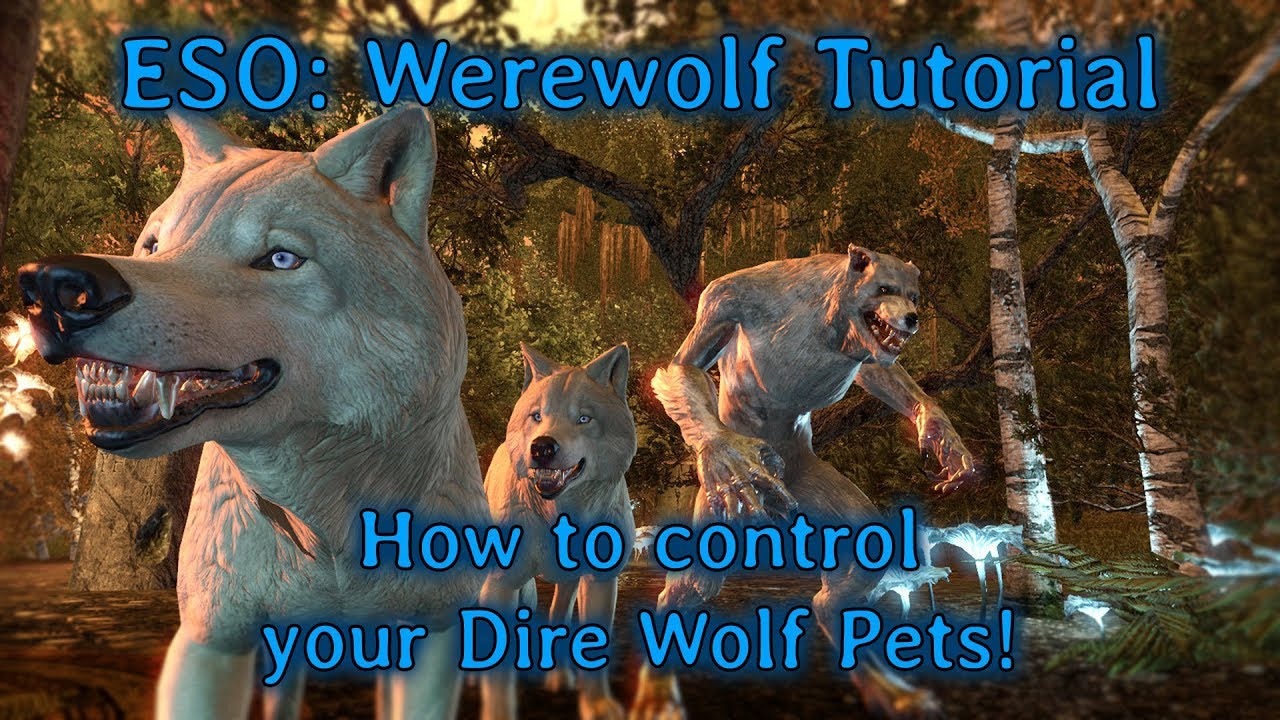 ESO Werewolf Tutorial How to control your Pets! (Dire Wolves) YouTube