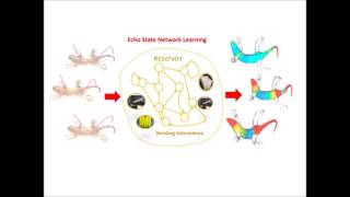 Data-Driven Bending Elasticity Design by Shell Thickness