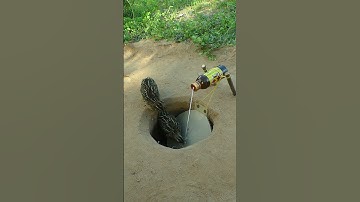 Amazing quail trap using a water bottle #short
