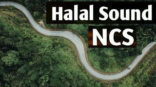 Halal Sound | No Copyright Sound | Background Nasheed | [NCS]