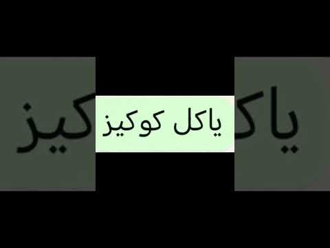 كلمات الأغنية صرصور بلكيس ياكل كوكيز اديلو حوقنه كبيره