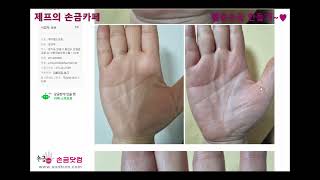 [제프의 손금카페] 행운손금 만들기~(사춘기 아들땜에 힘든 여자분, 자기일을 갖고 싶은 주부, 운명선 끊어진…
