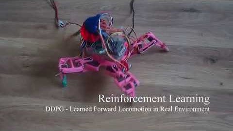 Reinforcement Learning on the Quadruped Robot