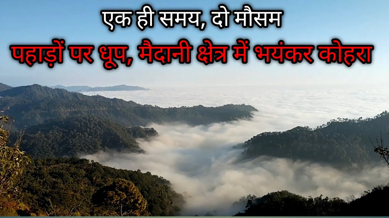 मैदान में भयंकर कोहरा, पहाड़ों पर खिली धूप | हिमालय के फुटहिल्स से अद्भुत दृश्य 🌄🌫️