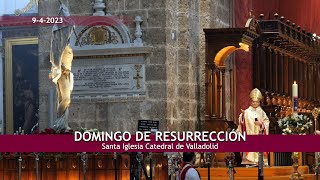 Misa Domingo de Resurrección 2023 _ Homilía Luis Argüello