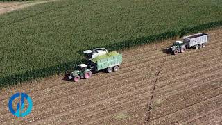 Campaña ensilado 2021 a vista de DRONE