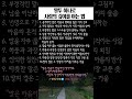 말투 하나로 사람의 깊이를 아는 법 #말의힘 #삶의통찰 #한입지혜