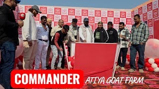 Atiya Goat Present Commander Comiing Soon Al Meem