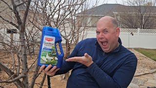 Review for BioAdvanced 12 Month Tree and Shrub Protect and Feed for Insects