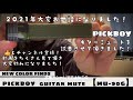 2021年大変お世話になりました！ PICKBOY ギターミュート【PICKBOY】【guitarmute】【acoustic guitar】【ギター初心者】