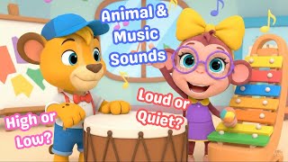 What's That Sound? 👂 | Loud, Quiet, Animal & Instrument Sounds! (The Know-It Kids) screenshot 5