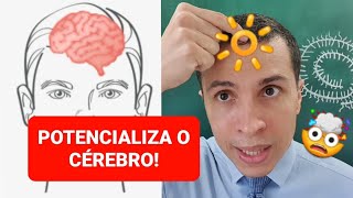 PONTO DO CÉREBRO  Trata, equilibra e estimula a capacidade cérebral!