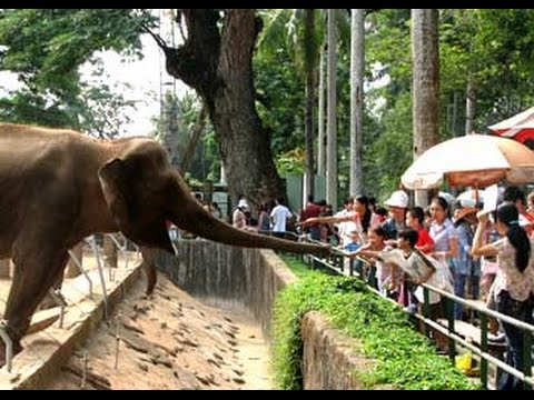 Thảo Cầm viên Sài Gòn (Sở thú) - Wildlife Park
