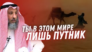 Ты, в этом мире лишь путник