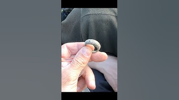 A 14th-century ring — just discovered!