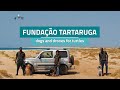 Fundação Tartaruga - dogs and drones for turtles (Turtle Foundation)