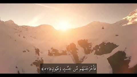 تلاوة خاشعة تريح القلب 💚 سورة الشعراء