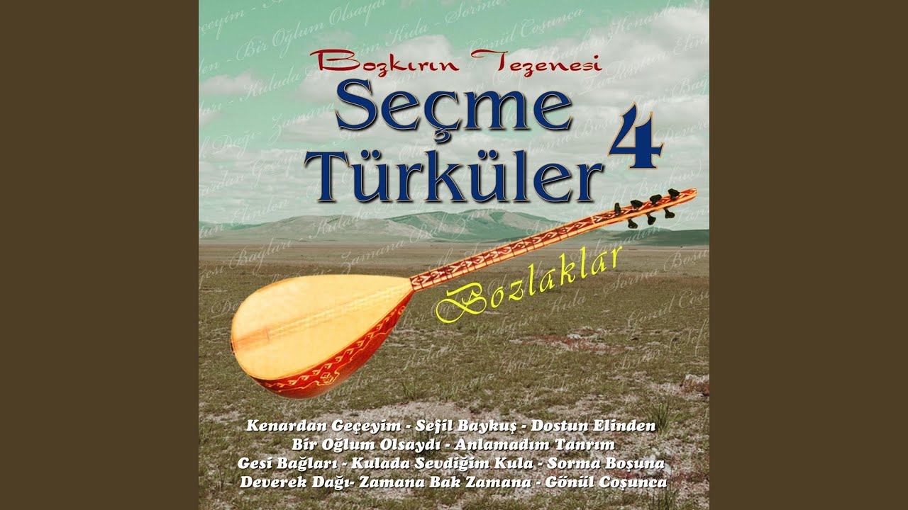 Oy Oy Gesi Bağları