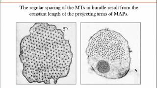 BIO734_Topic184