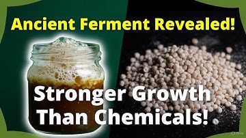 Ancient Fermented Fertilizer STUNS Gardeners — Replaces ALL Synthetic Products!